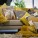 Yearning for Yellow